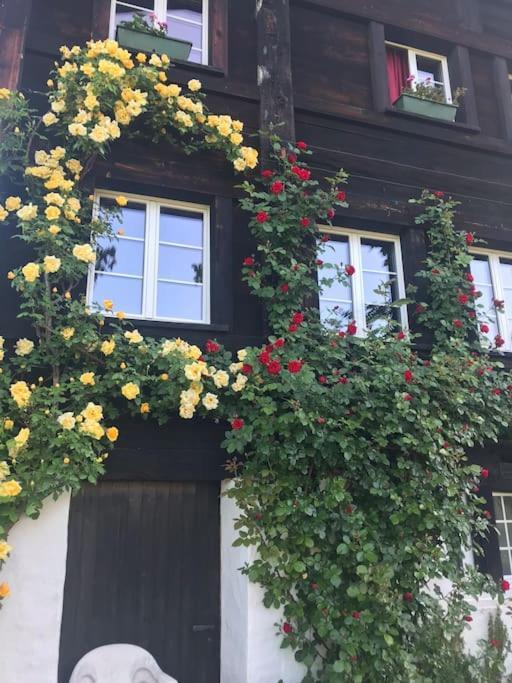 Charming Alps Apartment Perfect For Walk/Cycle/Ski Eschenbach Exterior photo